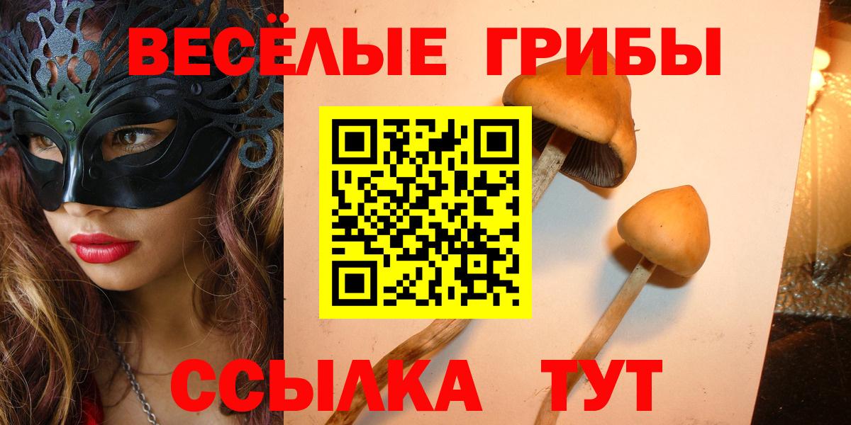 Урюпинск  Галлюциногенные грибы Psilocybe  даркнет сайт  Вход с VPN 
